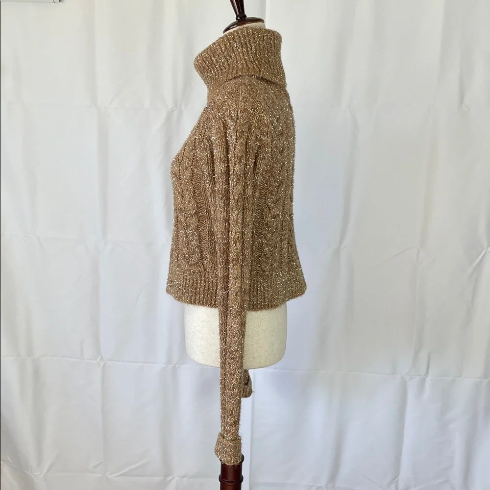 NWT Anthropologie Tan & Silver Tinsel Festive Cowl Neck Cropped Sweater - Medium - Picture 6 of 14